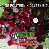 Samir POLITEKNIK CALTEX RIAU