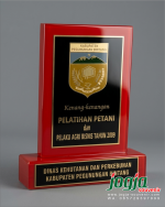 Plakat Kab. Pegunungan Bintang